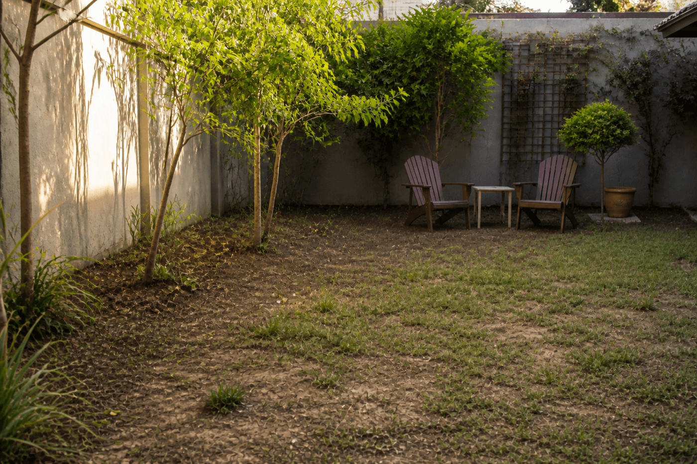Exemplo de espaço de jardim antes da transformação