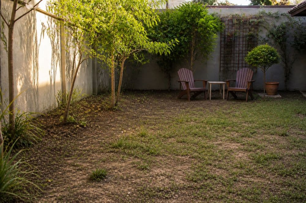 Antes: o mesmo quintal com terra exposta